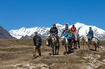 Horse Safari in Manali Horse Safari in Manali